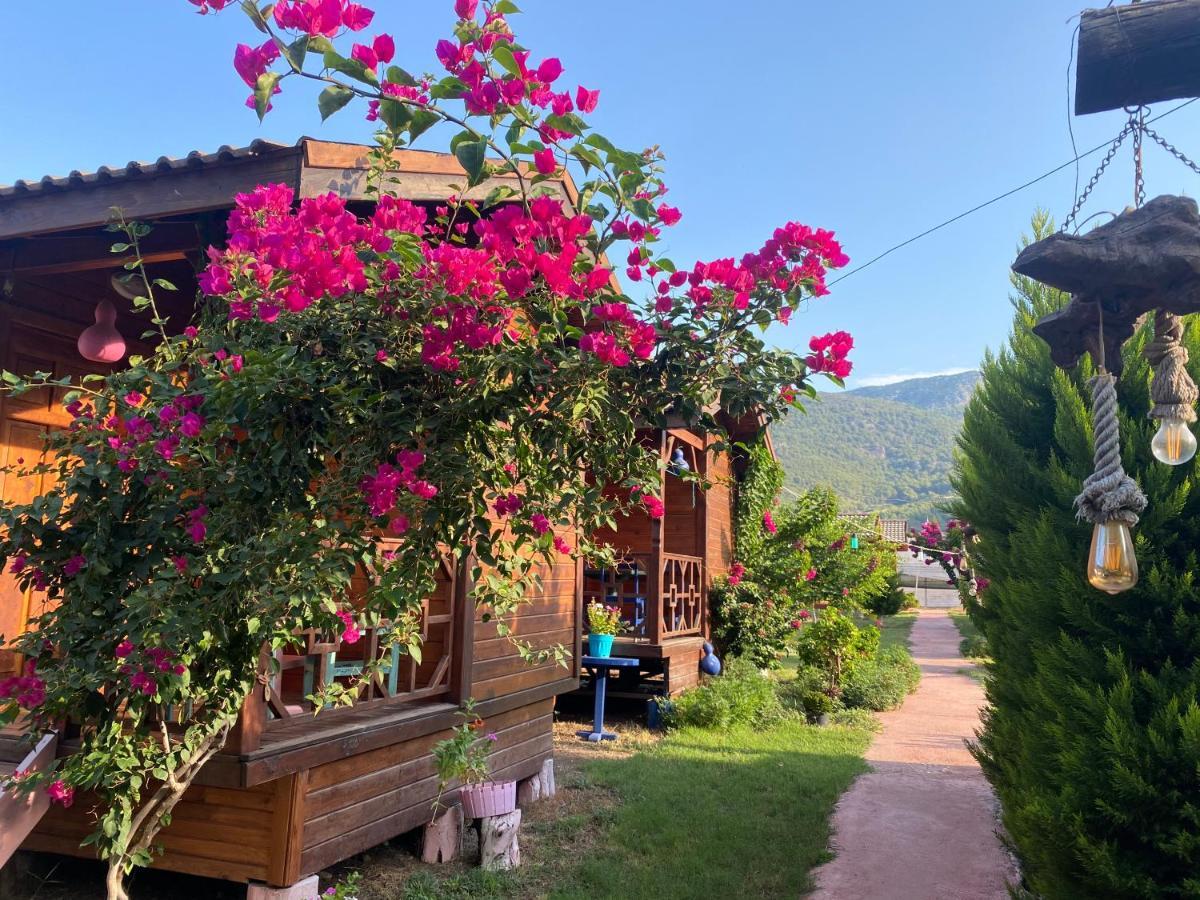 Karaoez Ada Bungalows & Villa 외부 사진