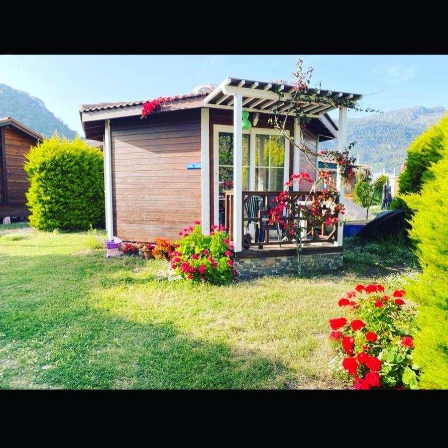 Karaoez Ada Bungalows & Villa 외부 사진