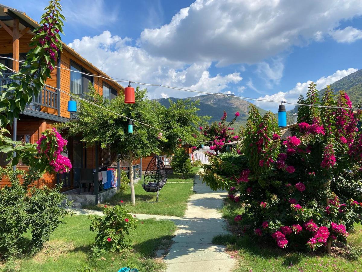 Karaoez Ada Bungalows & Villa 외부 사진