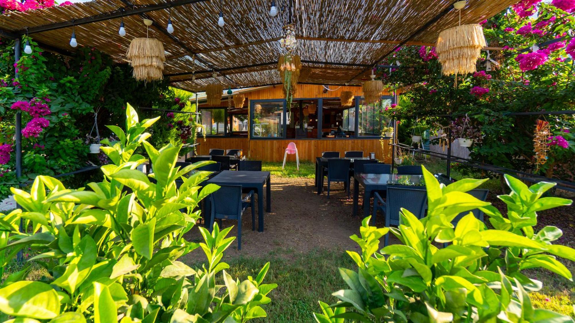 Karaoez Ada Bungalows & Villa 외부 사진