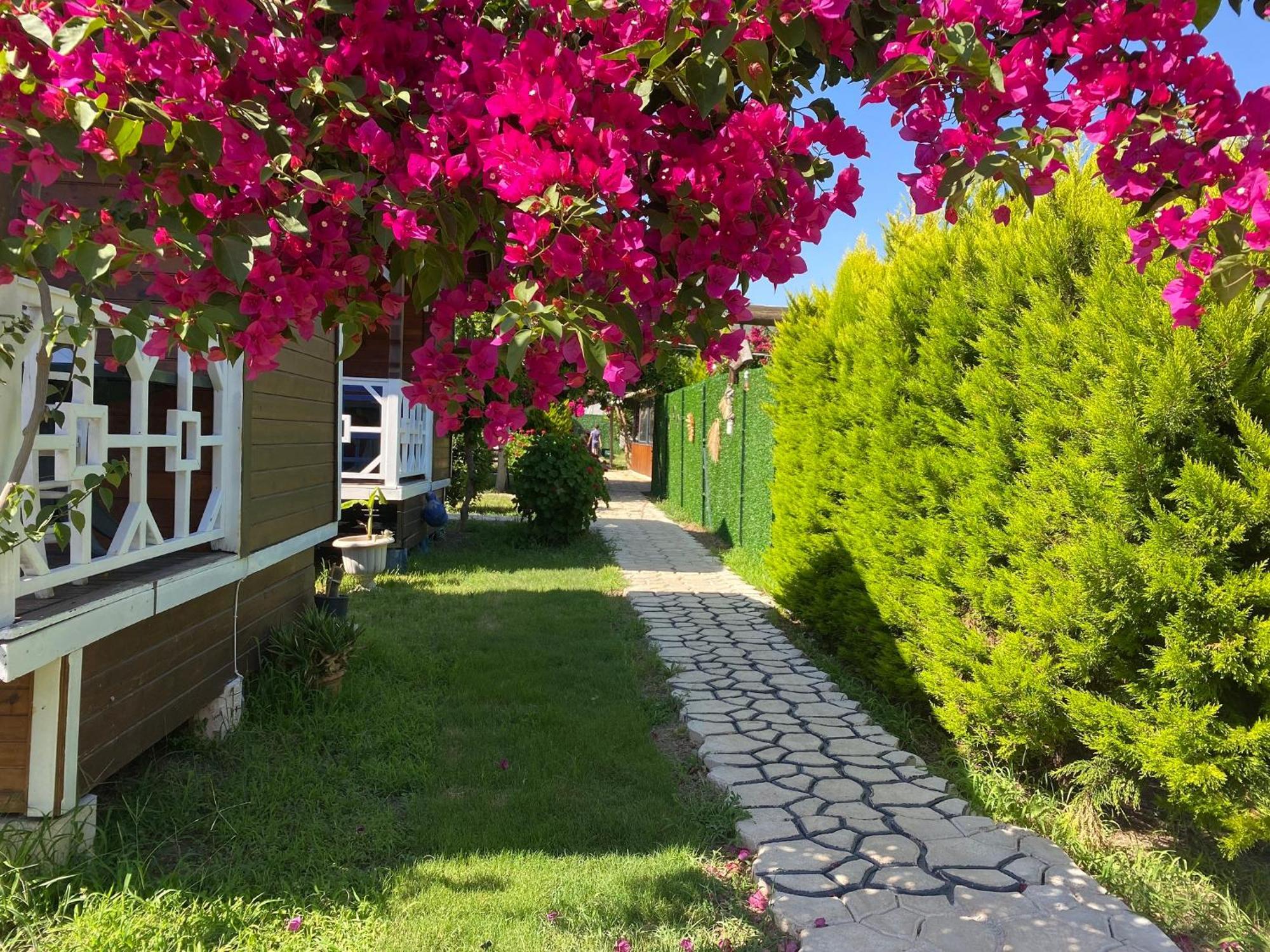 Karaoez Ada Bungalows & Villa 객실 사진