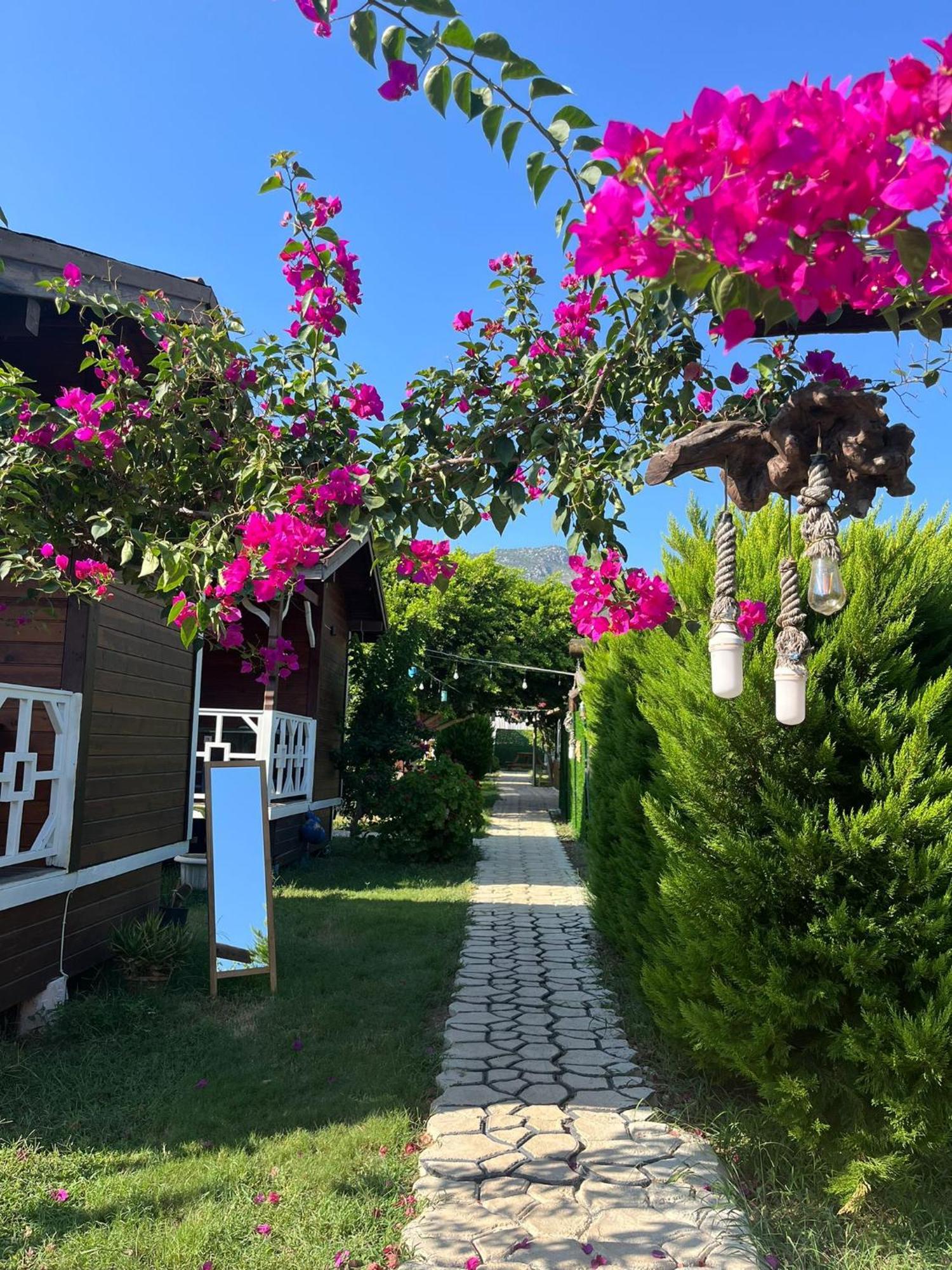 Karaoez Ada Bungalows & Villa 외부 사진